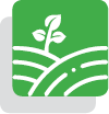 basic type logo